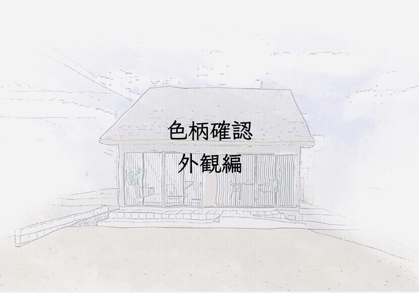 色柄確認　外観編