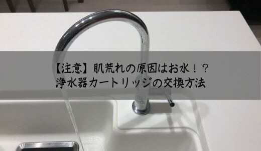 【注意】肌荒れの原因はお水？メイスイのビルドイン浄水器カートリッジ交換をセルフメンテナンスする方法